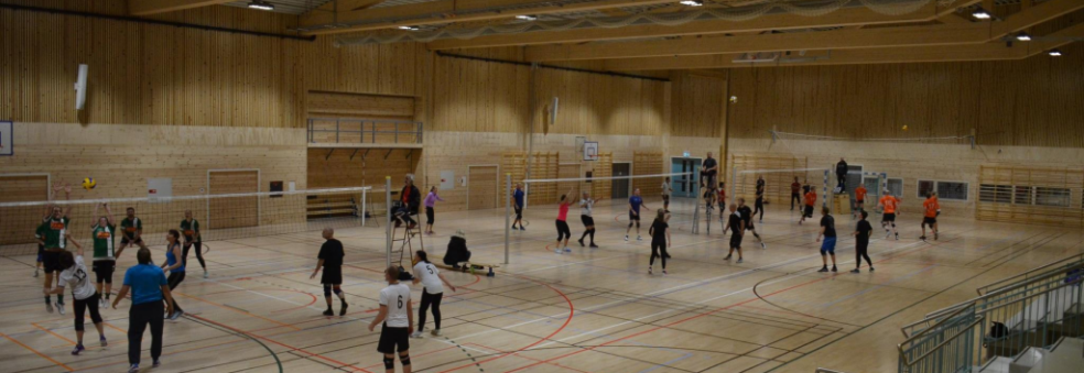 Volleyballserien 2019/2020